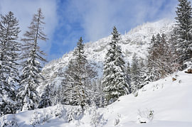 Schneebedeckte Bäume in einer einsamen winterlichen Berglandschaft unter blauem Himmel von Tomherkules