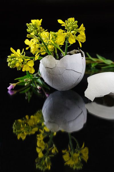 Begin van het Leven van Rolf Pötsch