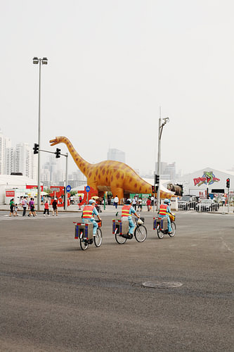 Chinese dinosaurus
