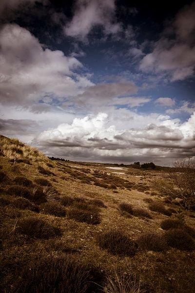 Clouds gather over the Dutch dune landscape by Dennis van Zetten
