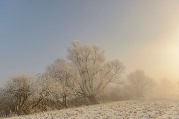 Winterlandschap in de delta van de IJssel bij Kampen van Sjoerd van der Wal Fotografie