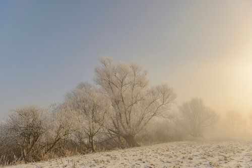 Winterlandschap in de delta van de IJssel bij Kampen