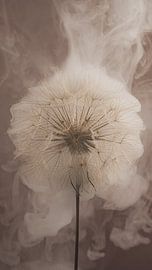 Vertical panorama: Smoke trapped in a fluffy cloud by Marjolijn van den Berg