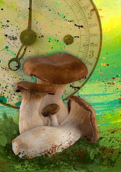Mushrooms by Erich Krätschmer