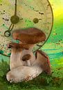 Mushrooms by Erich Krätschmer thumbnail