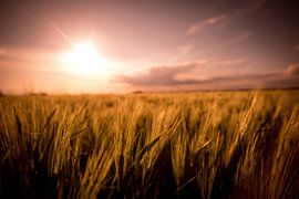 Sonnenuntergang von Pixel4ormer