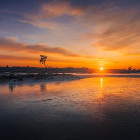 Zonsondergang Ijs Loonse en Drunense Duinen van Zwoele Plaatjes