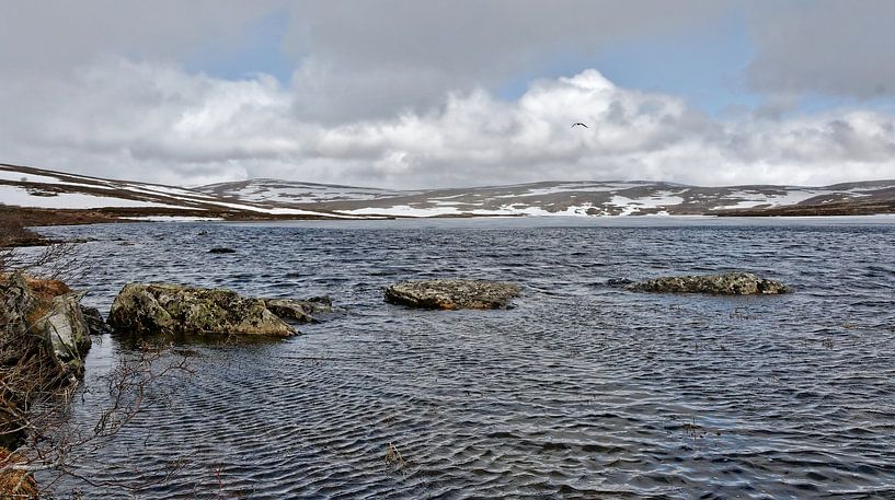 Norwegen, Frühling by Michael Schreier