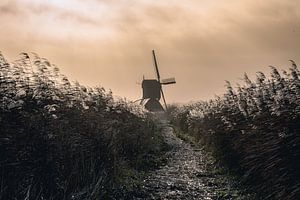 Windmill Kinderdijk