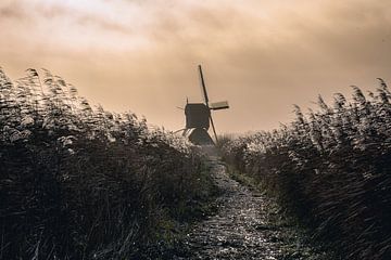 Windmühle Kinderdijk von Sonny Vermeer