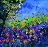 Wild flowers in summer