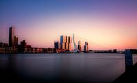 skyline van Rotterdam van Daphne Brouwer thumbnail