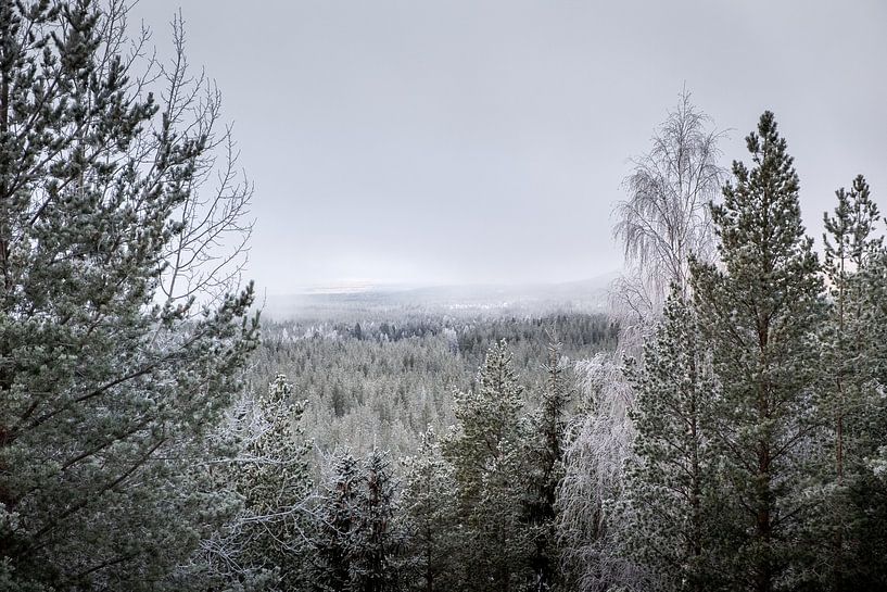 Kalter Nebel von Marco Lodder