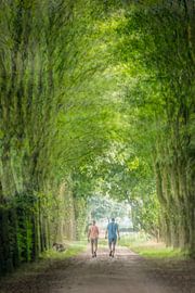 forest walk by Peter Smeekens