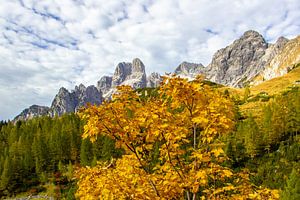 La Bischofsmütze dans son habit d'automne