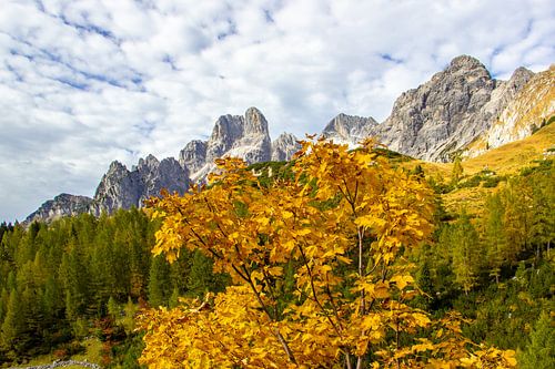 La Bischofsmütze dans son habit d'automne