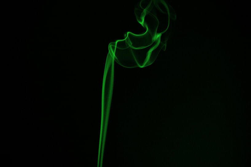 Wierook groen van Dana Schoenmaker