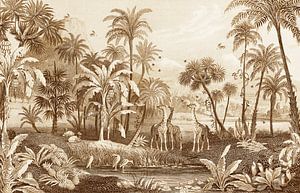 Dschungel Vintage mit Giraffen, Farnen, Palmen und Wasser mit Vögeln. von Studio POPPY