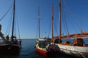 nostalgische Schiffe im Hafen Altefähr