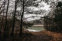 Connecterra | Blue Lake | Hoge Kempen National Park