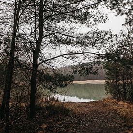 Connecterra | Blauer See | Hoge Kempen National Park von Floor Bogaerts