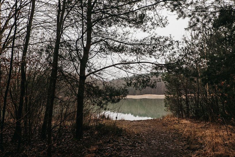 Connecterra | Blauer See | Hoge Kempen National Park von Floor Bogaerts
