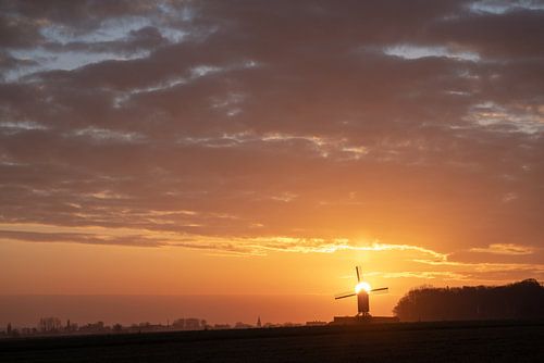 De Schietsjampettermolen in Wannegem