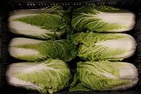 pak choi in crate just harvested