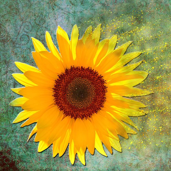 Zonnebloem ART 1.0 van Ingo Laue