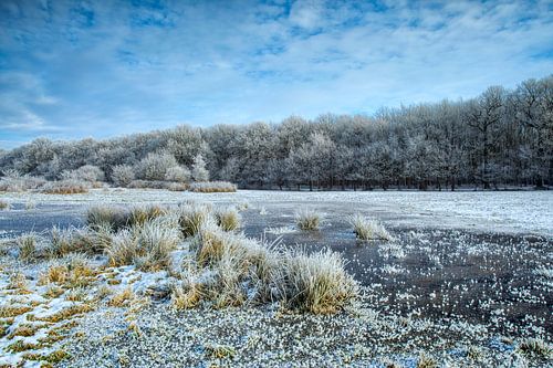 Landgoed Ennemaborgh Midwolda