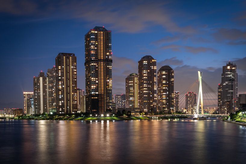 Tokyo by Night van Aen Seavherne