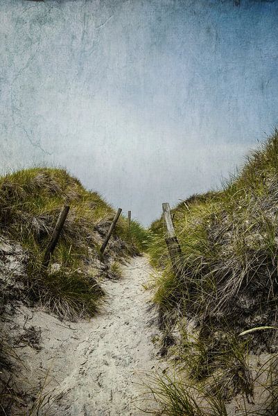 À travers les dunes par Hannes Cmarits