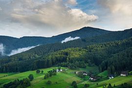 Blick von oben in den Schwarzwald Deutschland bei Freiburg von adventure-photos