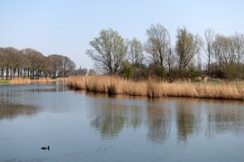 Ubbergen Gelderland by Richard Wareham