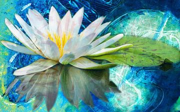 Lotus Flower by Giovani Zanolino