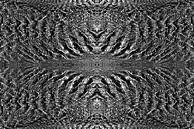 Hidden secrets of sand by Peter Schütte thumbnail