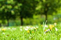 Frühling