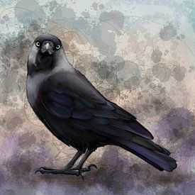 Kauwtje, portret van een mooie vogel van Bianca Wisseloo