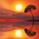 Gebogen boom spiegelt in water bij zonsondergang van Maud De Vries thumbnail