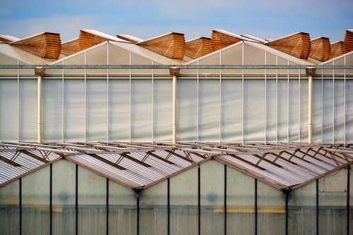 De Westlandse kas als organisme