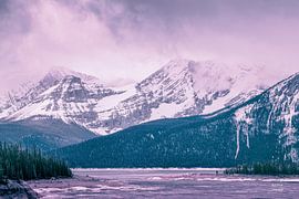 Stimmungsstürme, Nathan Larson von Wild Apple