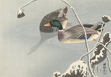 Ohara Koson - Deux colverts à côté d'un lotus enneigé (édité) sur Peter Balan