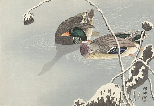 Ohara Koson - Two mallards next to a snow-covered lotus (edited)