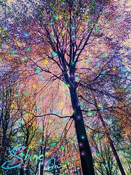 Shine on you crazy diamond van treesgivepeace.nl