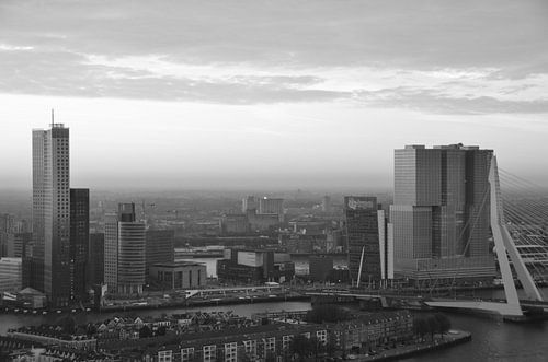 Beauty comes in many forms