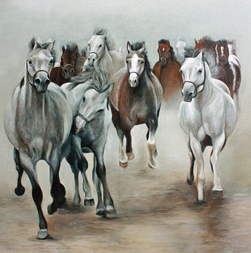 Horde Arabische Paarden van Jennie Smallenbroek