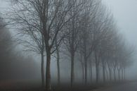 Marcheren in de Mist von Stephan Spelde Miniaturansicht