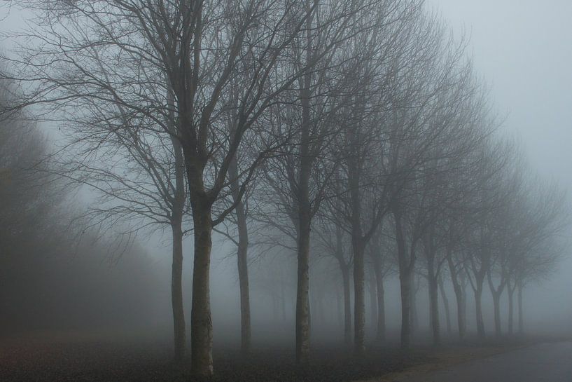 Marcheren in de Mist von Stephan Spelde