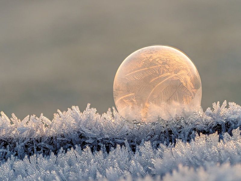 Frozen art #4 by Lex Schulte