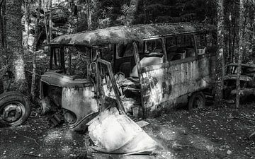 Sloopauto's overwoekerd door de natuur